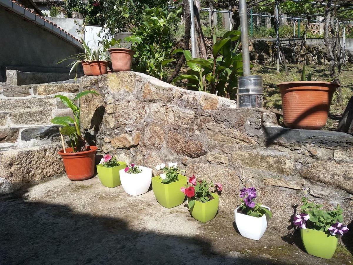 Casa En Vinoasヴィラ エクステリア 写真