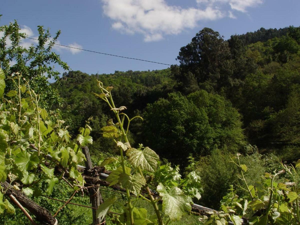 Casa En Vinoasヴィラ エクステリア 写真